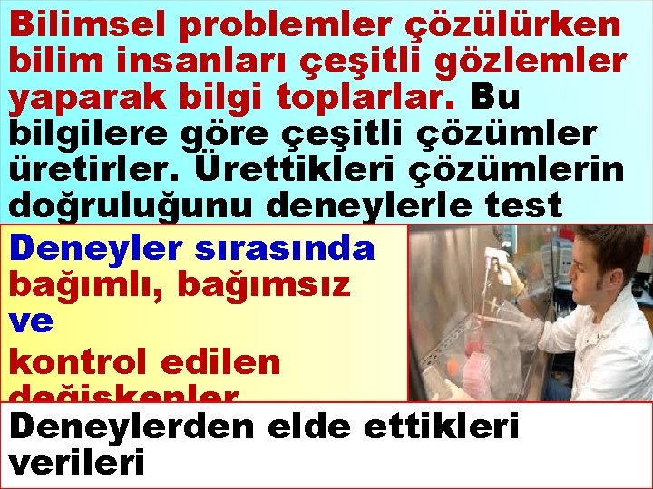 Bilimsel problemler çözülürken bilim insanları çeşitli gözlemler yaparak bilgi toplarlar. Bu bilgilere göre çeşitli