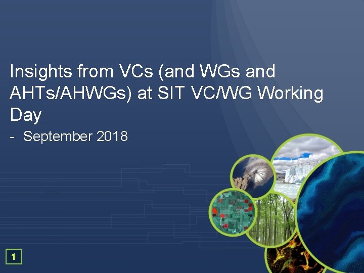 Insights from VCs (and WGs and AHTs/AHWGs) at SIT VC/WG Working Day - September