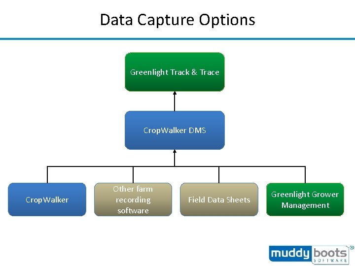 Data Capture Options Greenlight Track & Trace Crop. Walker DMS Crop. Walker Other farm