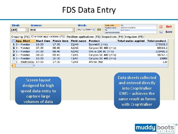 FDS Data Entry Screen layout designed for high speed data entry to capture large