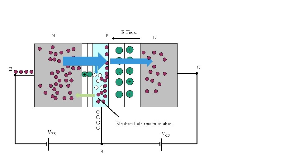 N E E-Field P + - - + - + - + N C