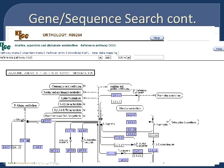 Gene/Sequence Search cont. 