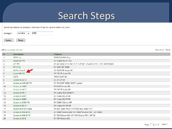 Search Steps 