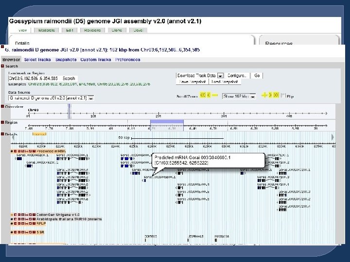 Genome Sequencing Data 