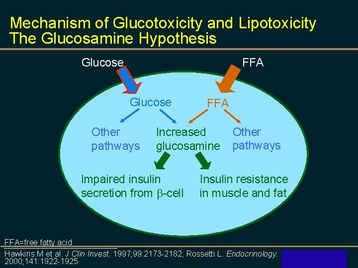 Mechanism of Glucotoxicity and Lipotoxicity The Glucosamine Hypothesis Glucose FFA Glucose Other pathways FFA