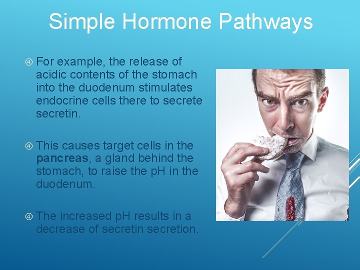 Simple Hormone Pathways For example, the release of acidic contents of the stomach into