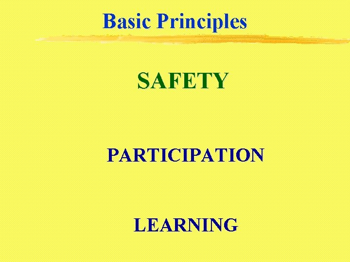Basic Principles SAFETY PARTICIPATION LEARNING 