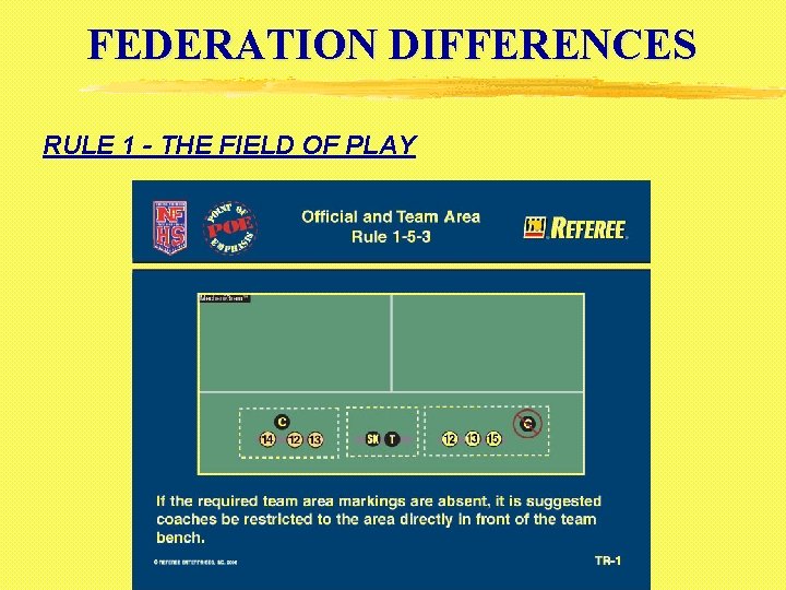 FEDERATION DIFFERENCES RULE 1 - THE FIELD OF PLAY 