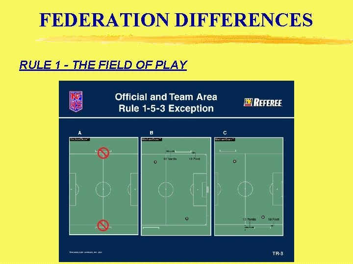 FEDERATION DIFFERENCES RULE 1 - THE FIELD OF PLAY 