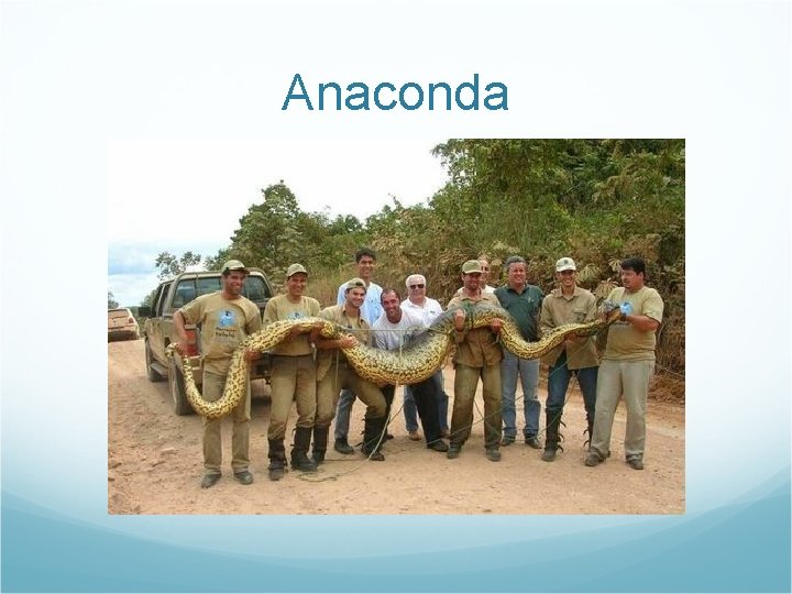 Anaconda 