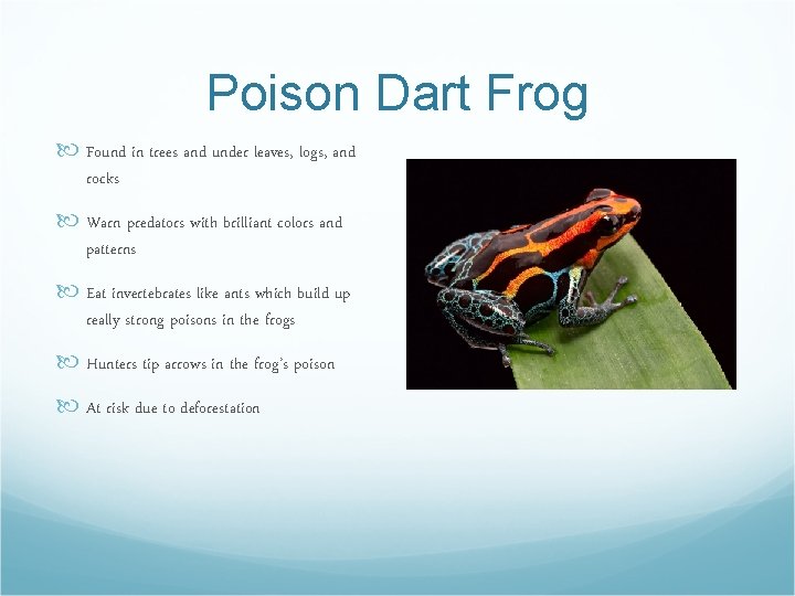 Poison Dart Frog Found in trees and under leaves, logs, and rocks Warn predators