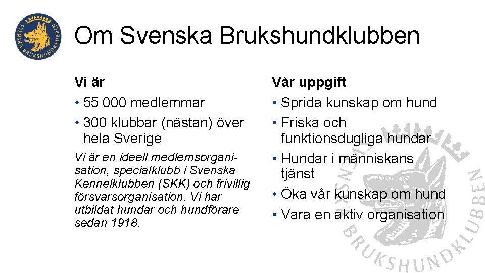 Om Svenska Brukshundklubben Vi är • 55 000 medlemmar • 300 klubbar (nästan) över