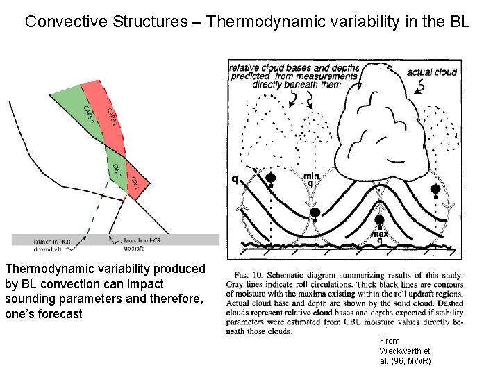 Convective Structures – Thermodynamic variability in the BL Thermodynamic variability produced by BL convection Convective Structures – Thermodynamic variability in the BL Thermodynamic variability produced by BL convection