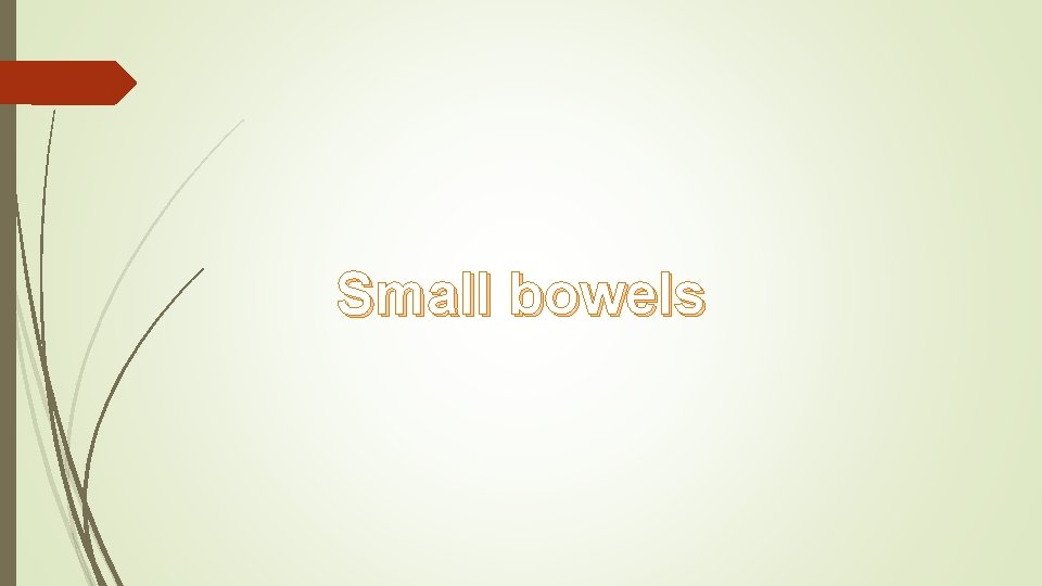 Small bowels 