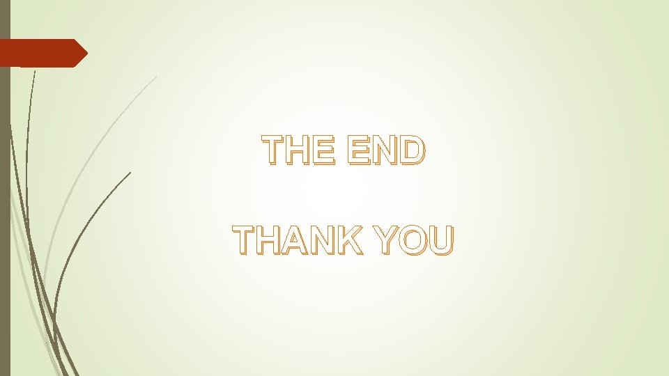 THE END THANK YOU 