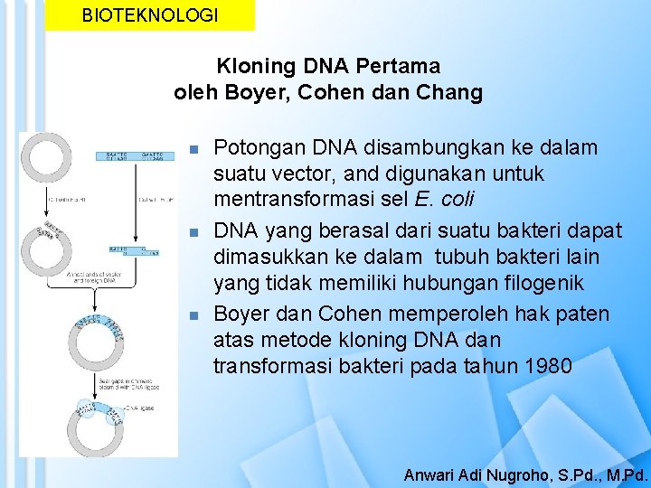 BIOTEKNOLOGI Kloning DNA Pertama oleh Boyer, Cohen dan Chang n n n Potongan DNA