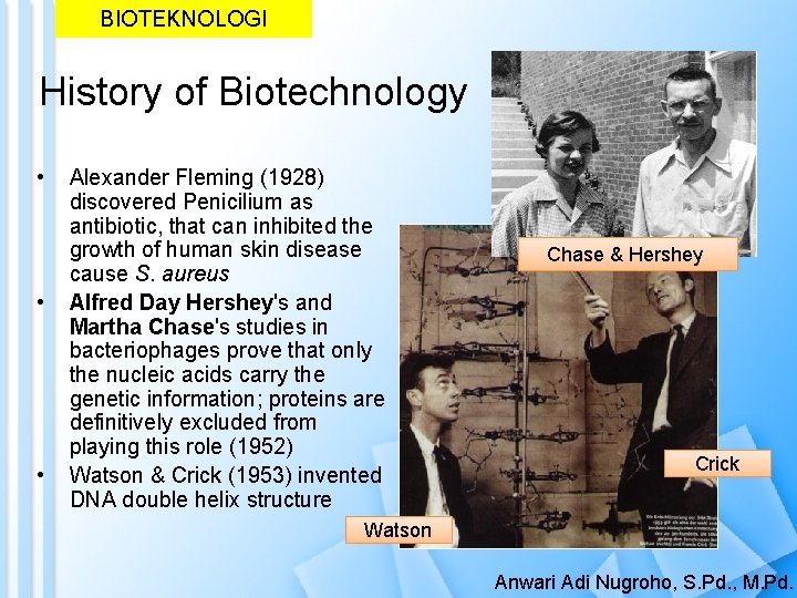 BIOTEKNOLOGI History of Biotechnology • • Alexander Fleming (1928) discovered Penicilium as antibiotic, that