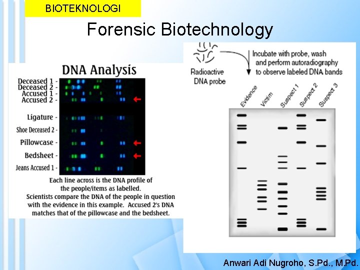 BIOTEKNOLOGI Forensic Biotechnology Anwari Adi Nugroho, S. Pd. , M. Pd. 