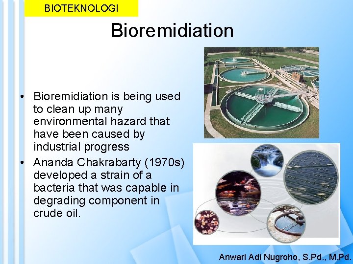 BIOTEKNOLOGI Bioremidiation • Bioremidiation is being used to clean up many environmental hazard that