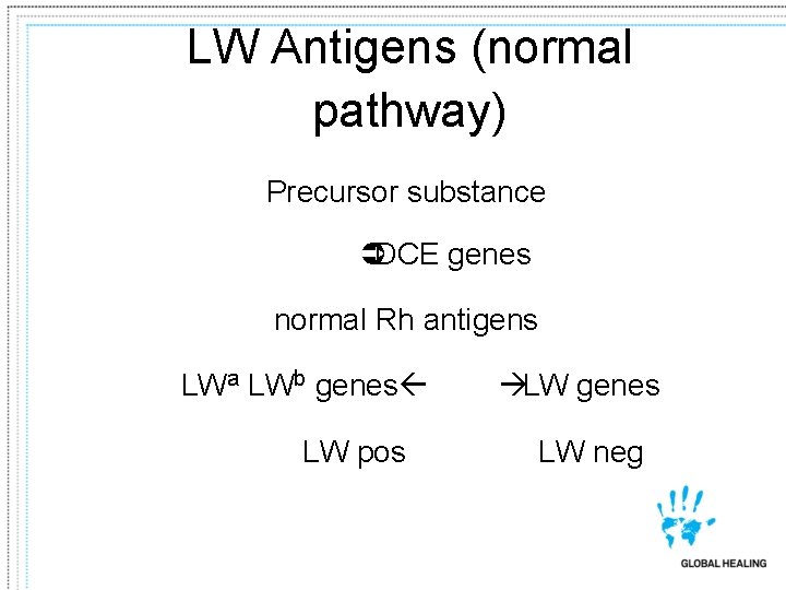 LW Antigens (normal pathway) Precursor substance ÜDCE genes normal Rh antigens LWa LWb genesß