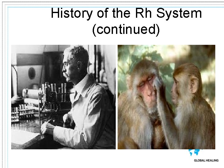 History of the Rh System (continued) 