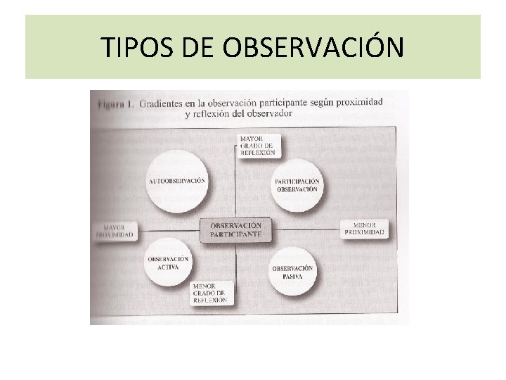 TIPOS DE OBSERVACIÓN 