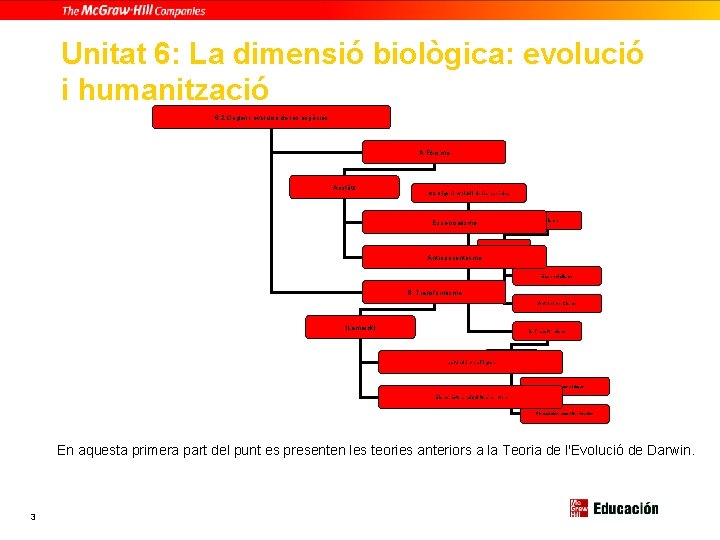 Unitat 6: La dimensió biològica: evolució i humanització 6. 2 Origen i evolució de
