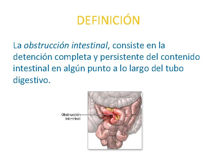 DEFINICIÓN La obstrucción intestinal, consiste en la detención completa y persistente del contenido intestinal