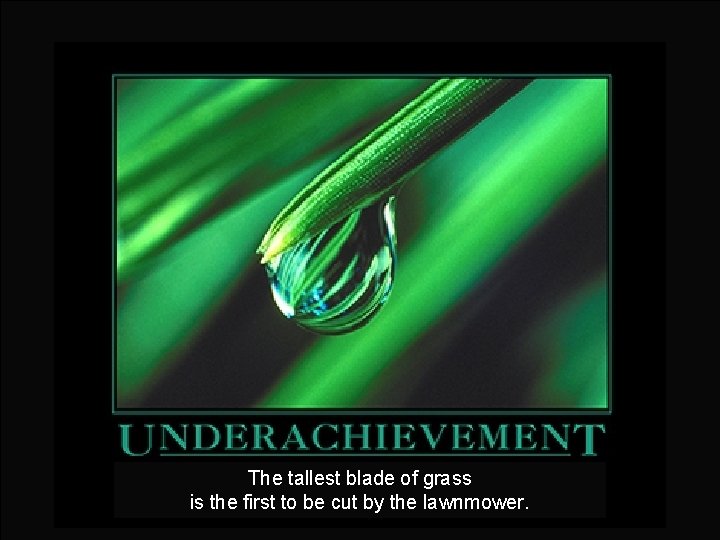 The tallest blade of grass is the first to be cut by the lawnmower.