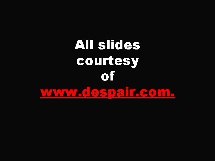 All slides courtesy of www. despair. com. 