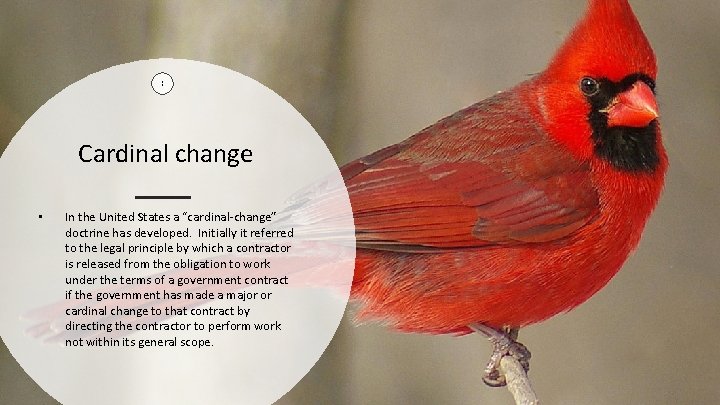 1 1 Cardinal change • In the United States a “cardinal-change” doctrine has developed.