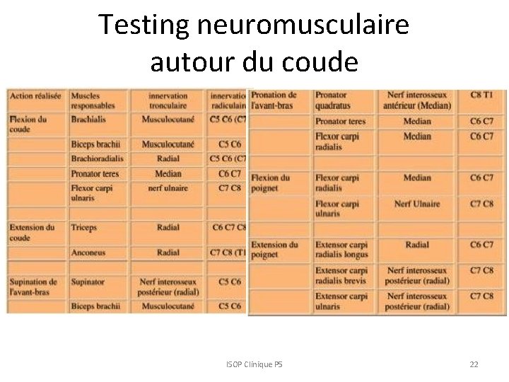 Testing neuromusculaire autour du coude ISOP Clinique P 5 22 