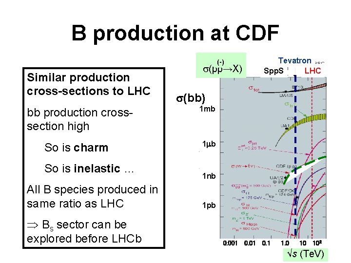 B production at CDF (-) Similar production cross-sections to LHC bb production crosssection high