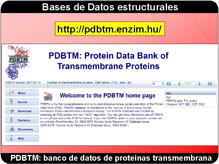 Bases de Datos estructurales http: //pdbtm. enzim. hu/ PDBTM: banco de datos de proteínas