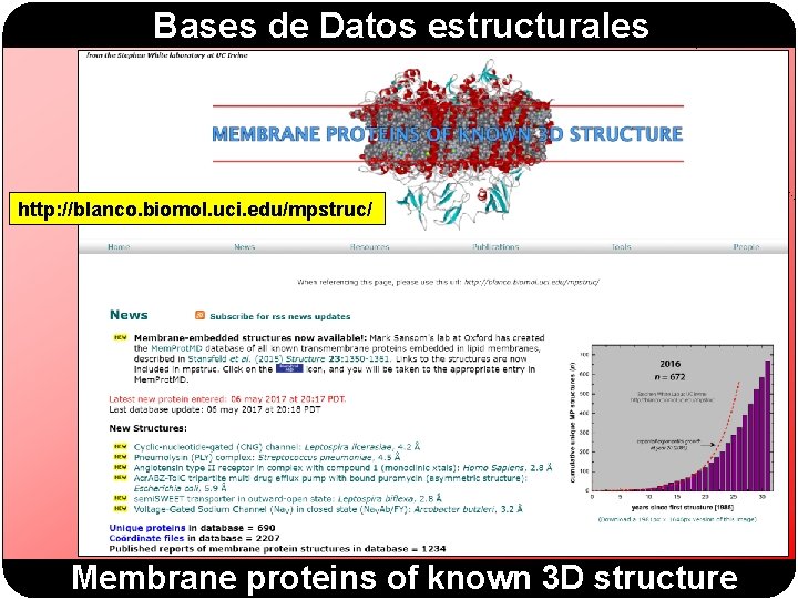Bases de Datos estructurales http: //blanco. biomol. uci. edu/mpstruc/ Membrane proteins of known 3