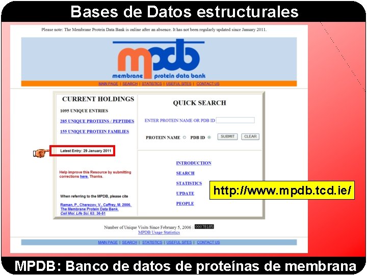 Bases de Datos estructurales http: //www. mpdb. tcd. ie/ MPDB: Banco de datos de