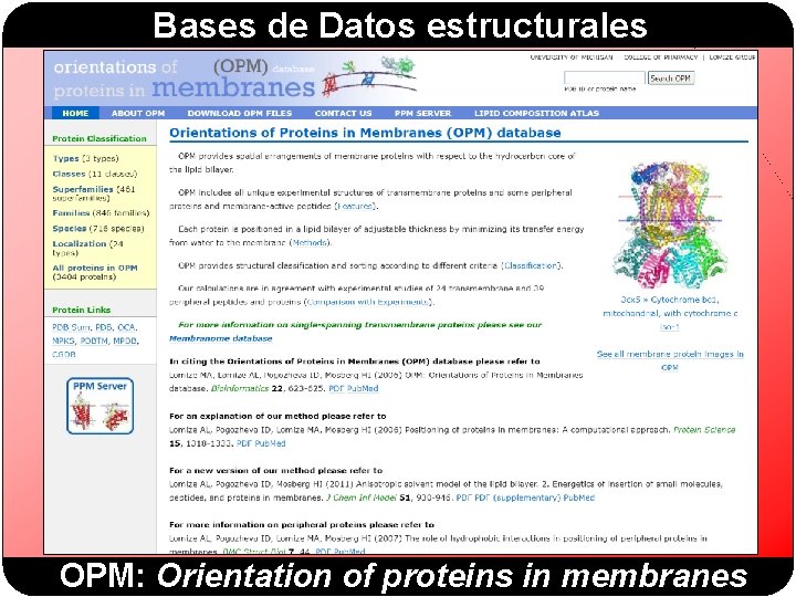 Bases de Datos estructurales OPM: Orientation of proteins in membranes 