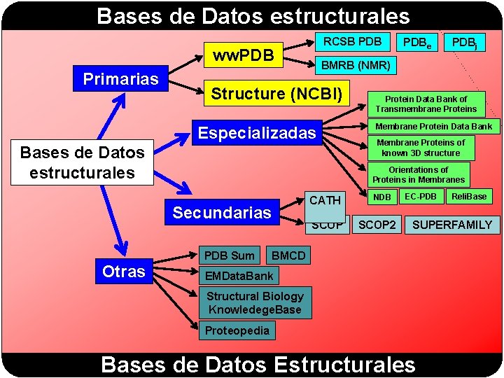 Bases de Datos estructurales RCSB PDB ww. PDB Primarias PDBj BMRB (NMR) Structure (NCBI)