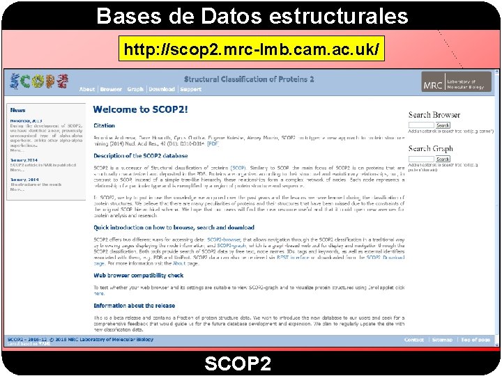 Bases de Datos estructurales http: //scop 2. mrc-lmb. cam. ac. uk/ SCOP 2 