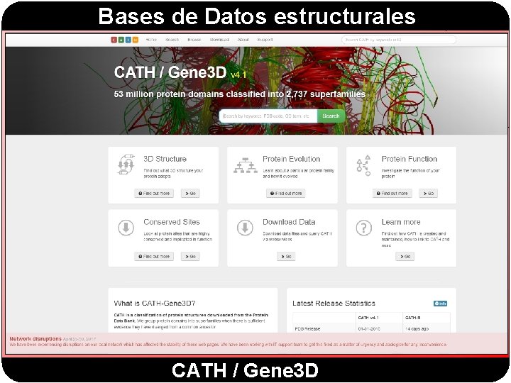 Bases de Datos estructurales http: //www. cathdb. info/ CATH / Gene 3 D 