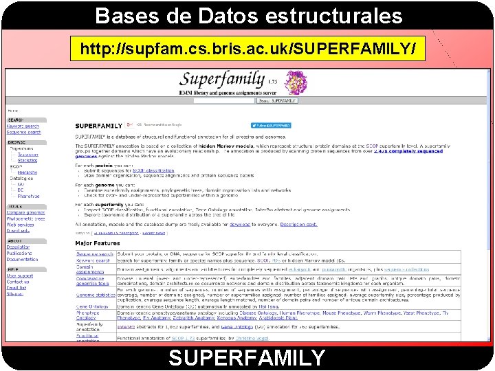 Bases de Datos estructurales http: //supfam. cs. bris. ac. uk/SUPERFAMILY/ SUPERFAMILY 