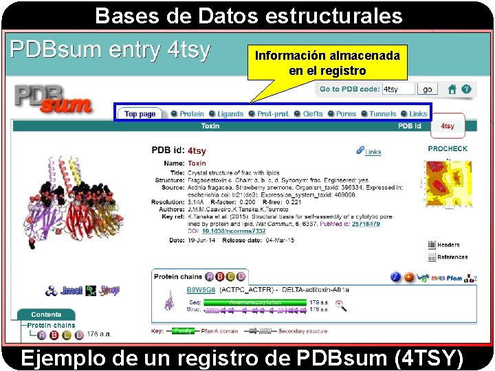 Bases de Datos estructurales Información almacenada en el registro Ejemplo de un registro de