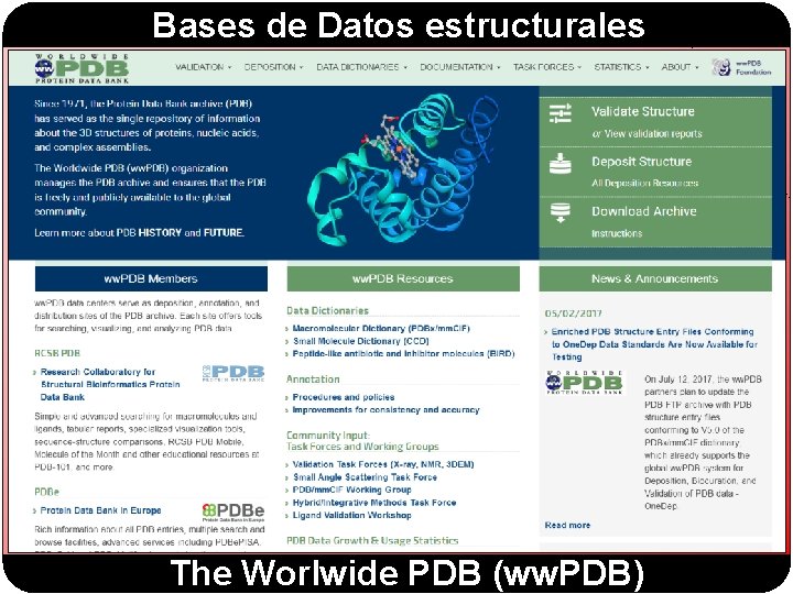 Bases de Datos estructurales The Worlwide PDB (ww. PDB) 