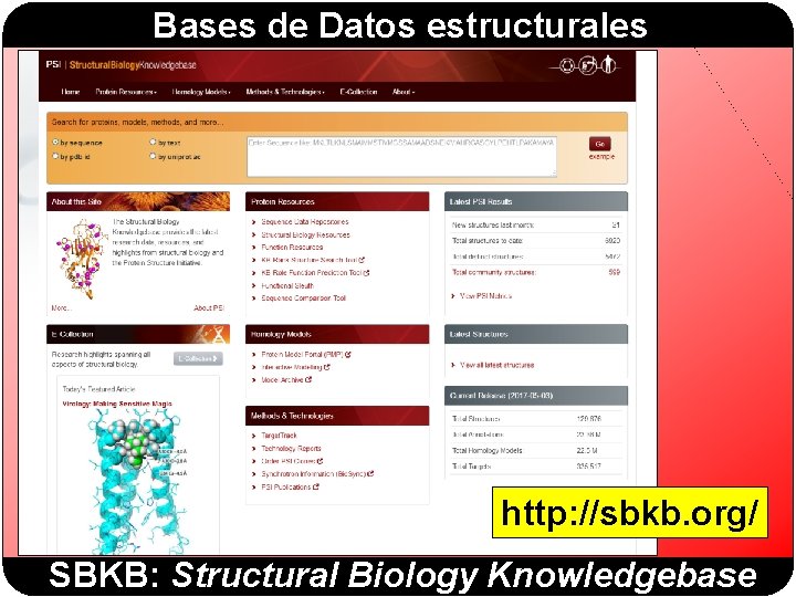 Bases de Datos estructurales http: //sbkb. org/ SBKB: Structural Biology Knowledgebase 