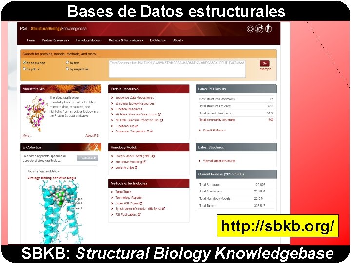Bases de Datos estructurales http: //sbkb. org/ SBKB: Structural Biology Knowledgebase Bases de Datos estructurales http: //sbkb. org/ SBKB: Structural Biology Knowledgebase