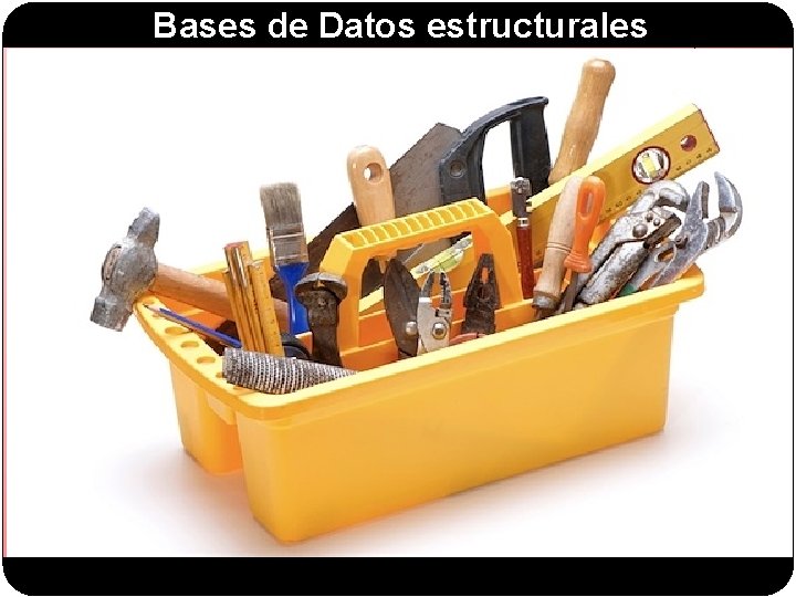 Bases de Datos estructurales 