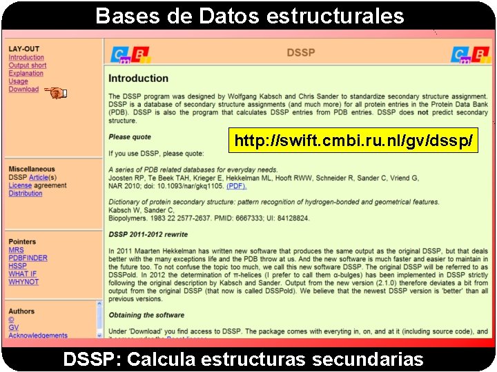 Bases de Datos estructurales http: //swift. cmbi. ru. nl/gv/dssp/ DSSP: Calcula estructuras secundarias 
