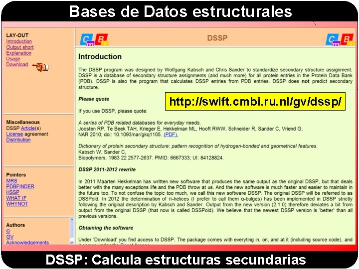 Bases de Datos estructurales http: //swift. cmbi. ru. nl/gv/dssp/ DSSP: Calcula estructuras secundarias Bases de Datos estructurales http: //swift. cmbi. ru. nl/gv/dssp/ DSSP: Calcula estructuras secundarias