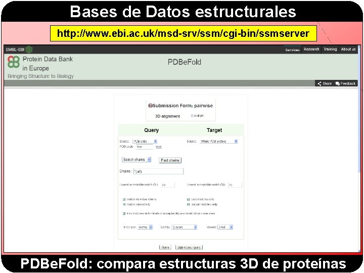 Bases de Datos estructurales http: //www. ebi. ac. uk/msd-srv/ssm/cgi-bin/ssmserver PDBe. Fold: compara estructuras 3 Bases de Datos estructurales http: //www. ebi. ac. uk/msd-srv/ssm/cgi-bin/ssmserver PDBe. Fold: compara estructuras 3