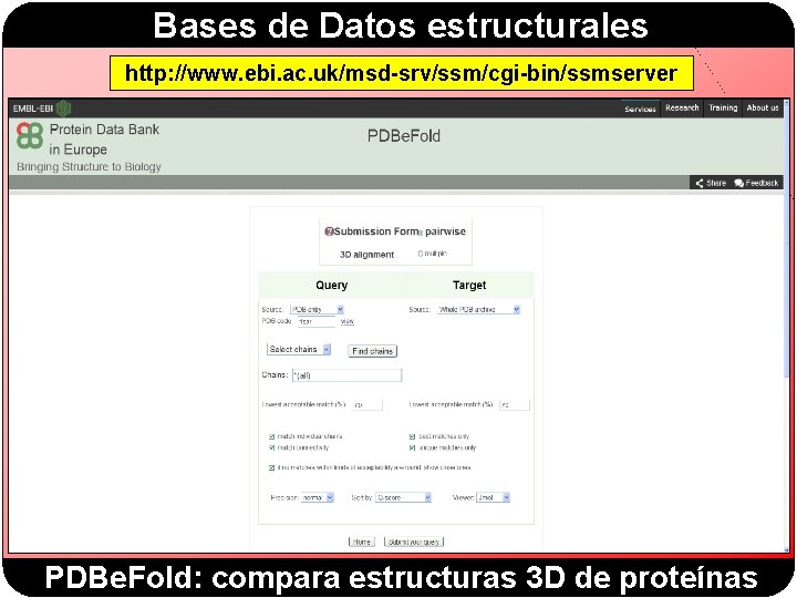 Bases de Datos estructurales http: //www. ebi. ac. uk/msd-srv/ssm/cgi-bin/ssmserver PDBe. Fold: compara estructuras 3